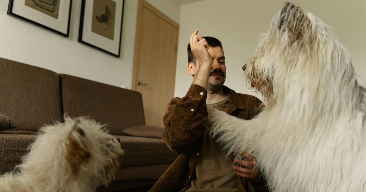 huge fluffy dog